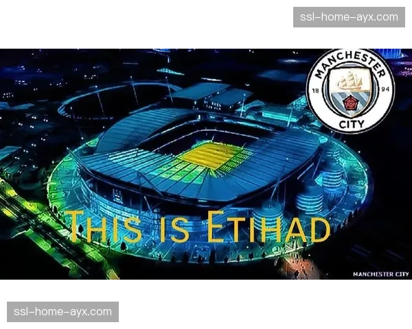 通讯:英超俱乐部加强球场安保,启用新型验票系统 通讯:英超俱乐部加强球场安保,启用新型验票系统